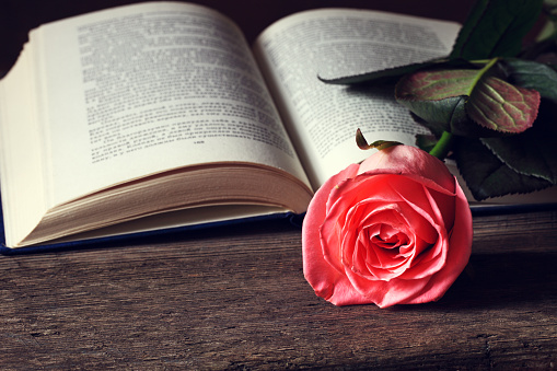 Books and red rose.