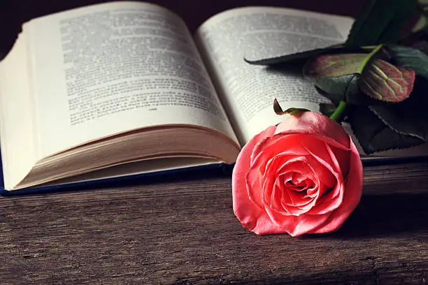 Photo of Books and rose