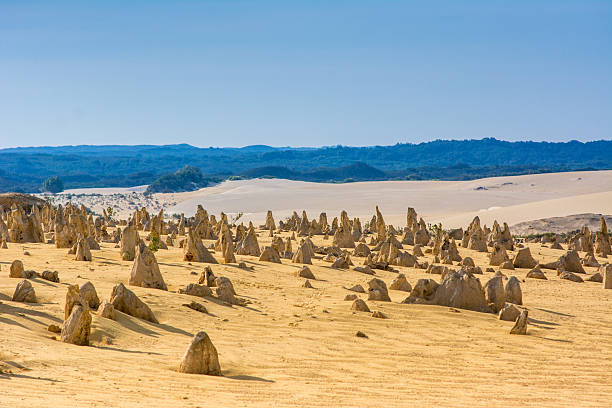 pinnacle desert. landscape of natural travel in western australia - nambung national park imagens e fotografias de stock