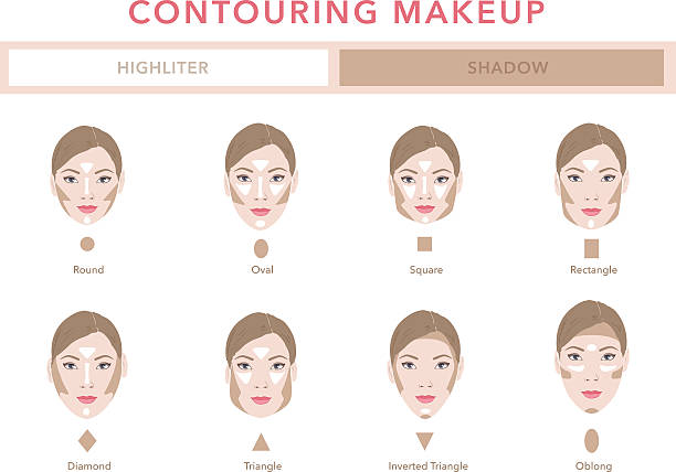 Type of faces. Contouring tutorial vector Type of faces. Contouring tutorial vector set contour drawing stock illustrations