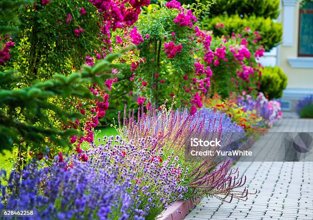 Schöne Landschaftsgestaltung Stockfoto und mehr Bilder von Hausgarten - Hausgarten, Gartenlaube, Gartengestaltung