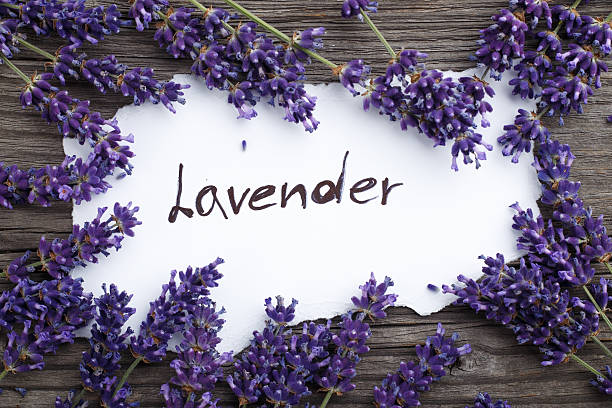 istock Lavender flowers on a wooden background. Floral border or frame 628464882