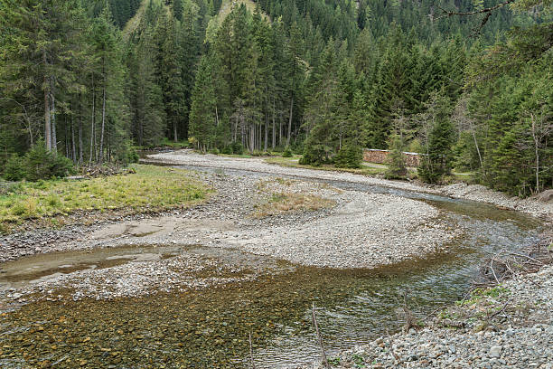 istock Creek in the Lessachtal in Lungau in Austria 628481852