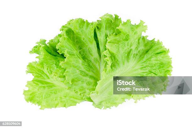 Salad Leaf Lettuce Isolated On White Background Stock Photo - Download Image Now - Lettuce, Cut Out, White Background