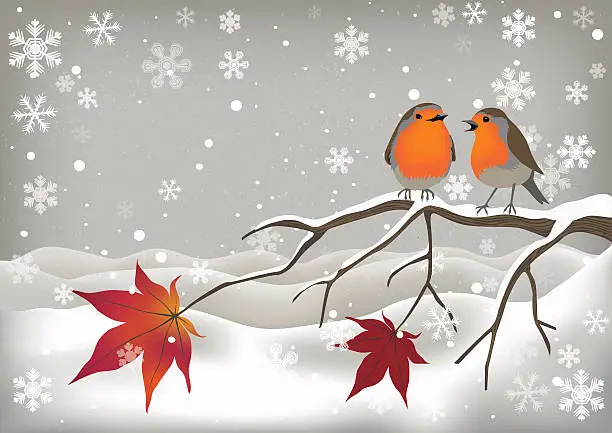 Vector illustration of Pair of Robins