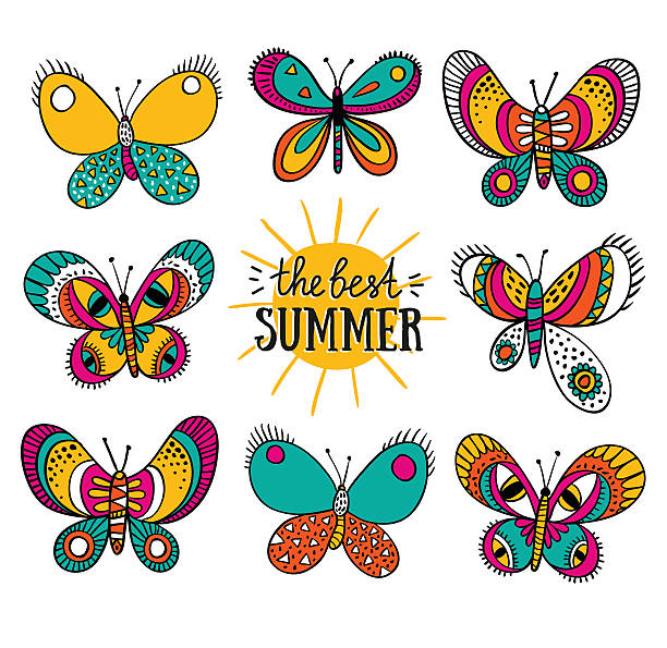 ilustrações de stock, clip art, desenhos animados e ícones de vector isolated colorful butterflies and lettering on the white background. - butterfly single flower vector illustration and painting