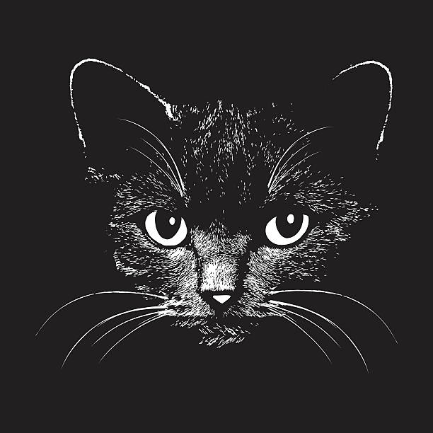 Cat head vector animal illustration for t-shirt Cat head vector animal illustration for t-shirt. Sketch tattoo design. black cat stock illustrations