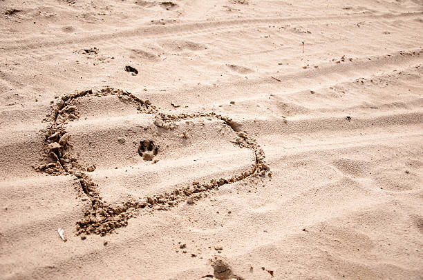 istock Heart with dog's paw prints 628518768