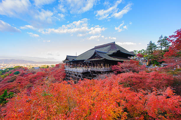 清水寺ステージ - autumn leaf japanese maple red ストックフォトと画像
