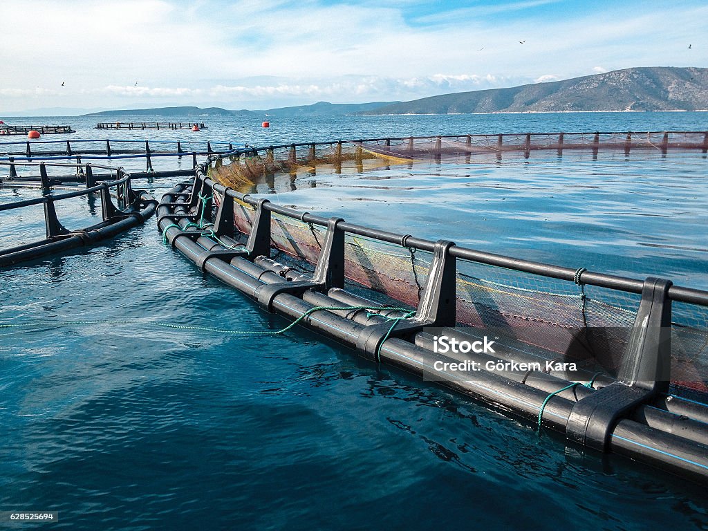 fish farm A fish farm in turkey at sea Aquaculture Stock Photo