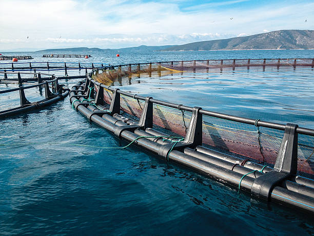 fish farm A fish farm in turkey at sea fish farm stock pictures, royalty-free photos & images