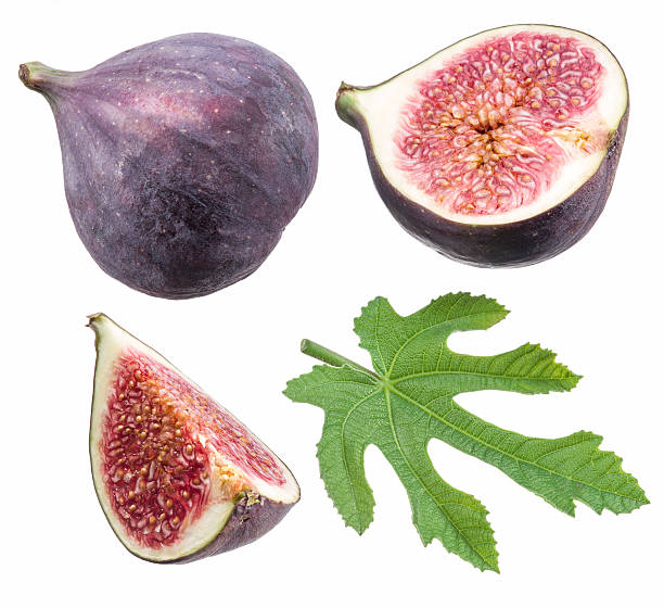 istock Ripe fig fruits and leaf. 628525850