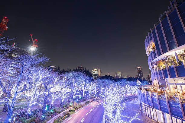 istock Illumination of Tokyo 628529244