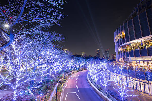 istock Illumination of Tokyo 628529348