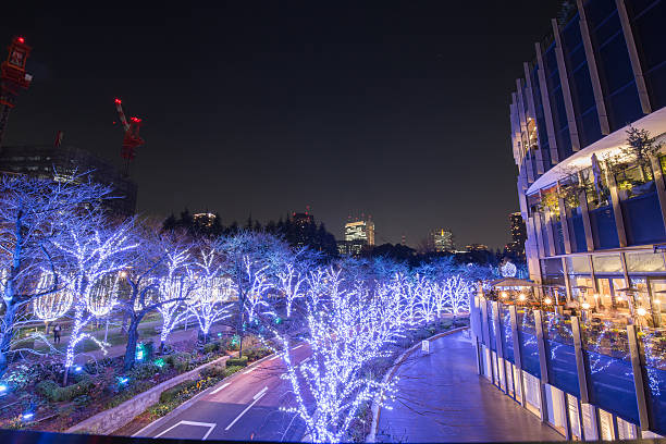 istock Illumination of Tokyo 628529648