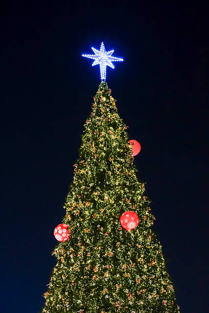 istock Christmas Tree all lit up with blue star. 628535578