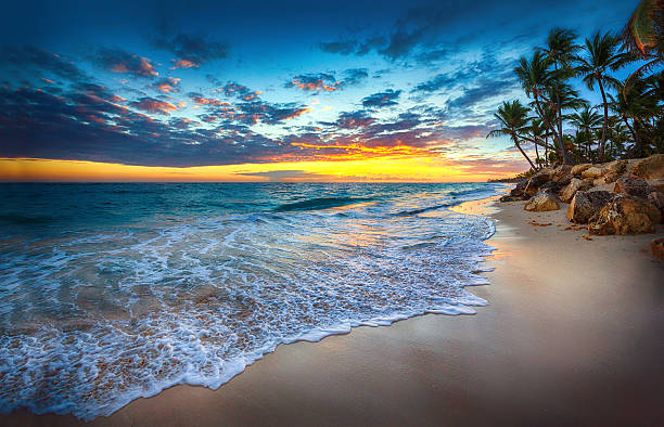 lever du soleil sur la plage - mer des caraïbes photos et images de collection