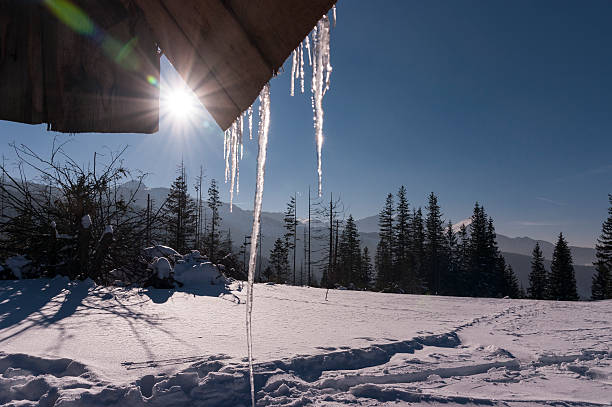istock Winter landscape on the mountain glade 628536186