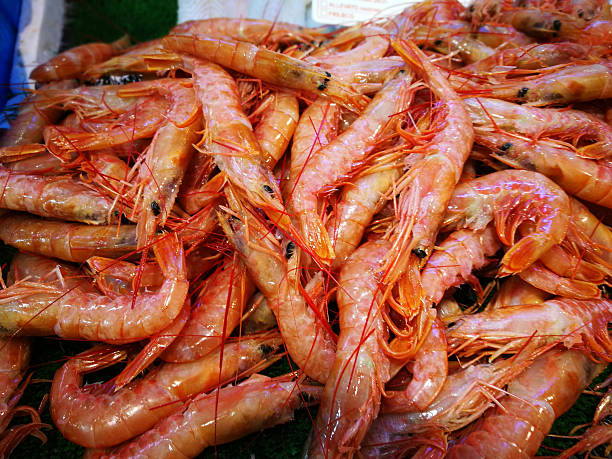 istock Shrimp in fish market 628536214