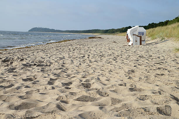 istock Beach chairs on the Baltic Sea beach at Thiessow, Germany 628537470