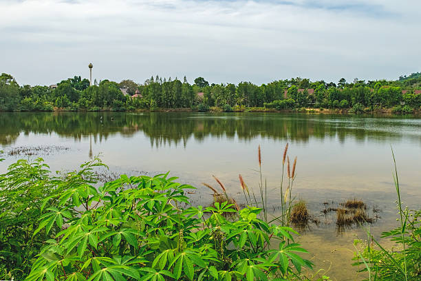 istock Beautiful lake with reflection under the blue sky 628537618