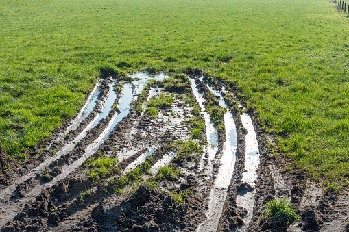 wet mud tracks in  meadow with sky reflections