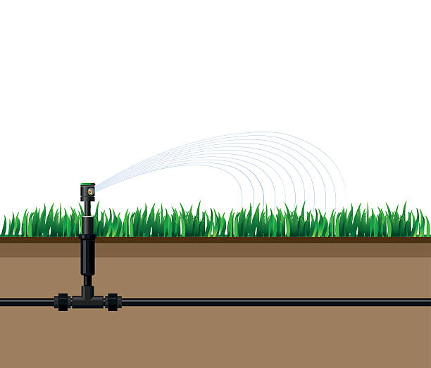 illustrazioni stock, clip art, cartoni animati e icone di tendenza di irrigazione automatica degli irrigatori - moisten