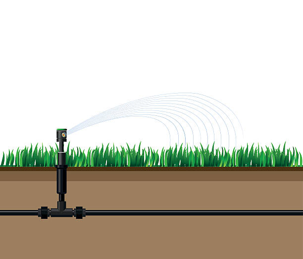 ilustrações, clipart, desenhos animados e ícones de rega automática de irrigadores - moisten