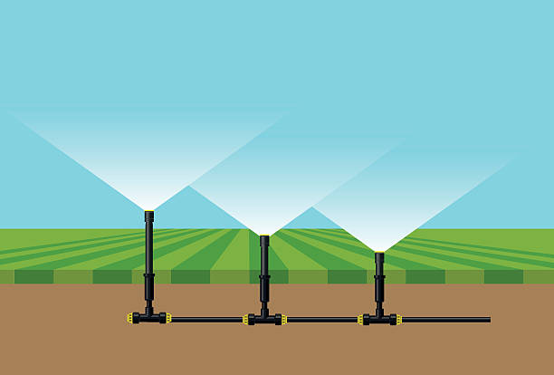 illustrazioni stock, clip art, cartoni animati e icone di tendenza di irrigatori automatici per irrigazione - moisten