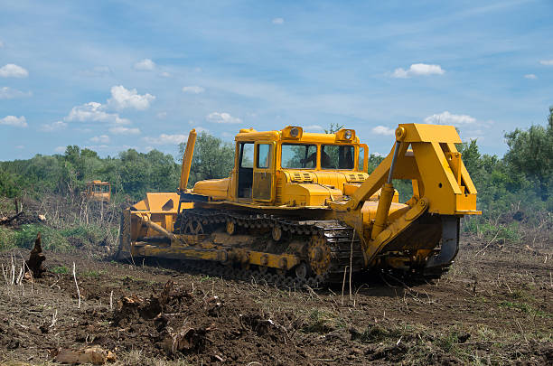 istock Destruction of forests with bulldozer. 628547976