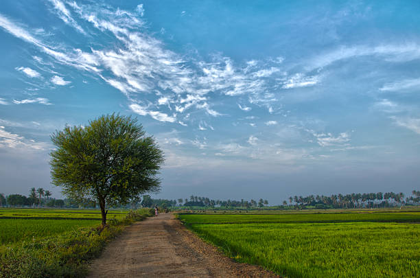 Village Landscape Stock Photo - Download Image Now - Village, India, Rice  Paddy - iStock