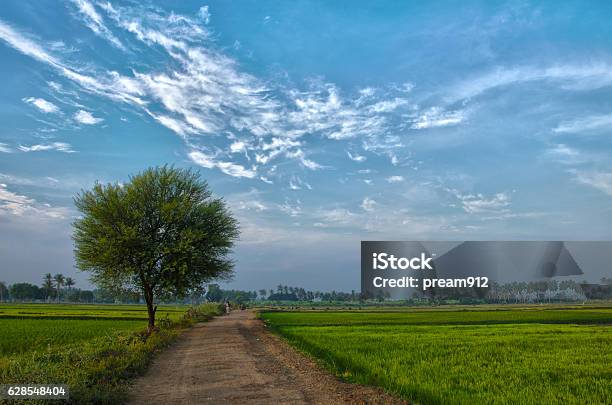 Village Landscape Stock Photo - Download Image Now - Village, India, Rice Paddy