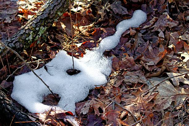 'guitarra' de neve - shutterbug - fotografias e filmes do acervo