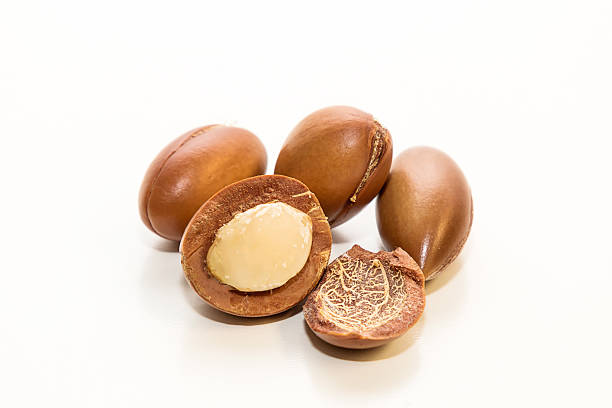 istock Seeds of argan oil 628552052