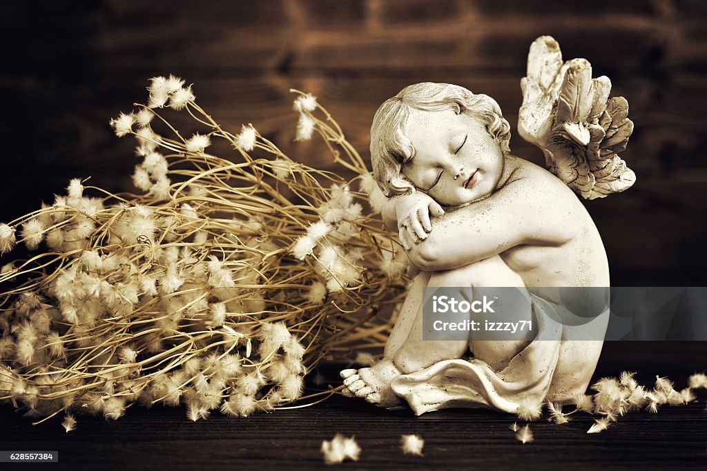 Ange et fleurs sèches - Photo de Bébé libre de droits