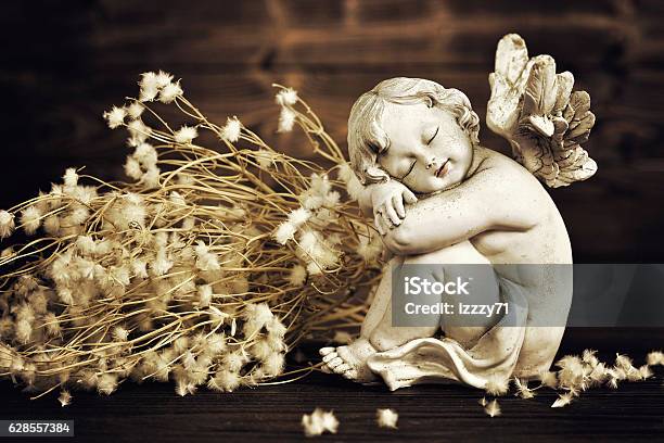 Photo libre de droit de Ange Et Fleurs Sèches banque d'images et plus d'images libres de droit de Bébé - Bébé, Mort - Concepts, Mort - Description physique