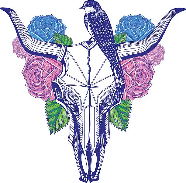 Vector illustration of Bull skull and roses, swallow drawn