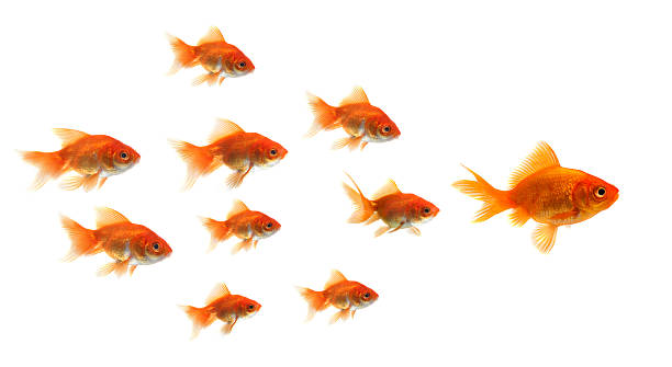 istock standing out of the crowd 628565148