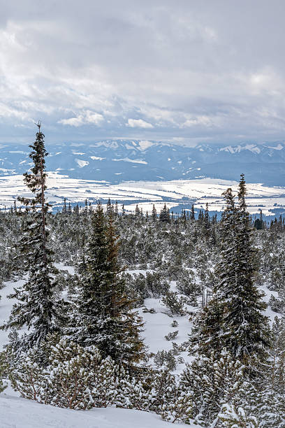 istock Winter in High Tatras Mountains. 628580954
