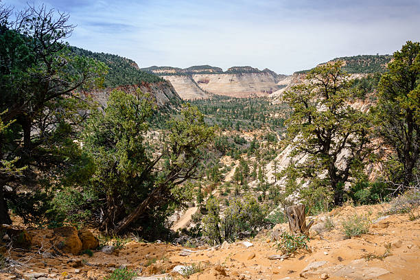 istock East Rim View, Zion National Park, Utah 628582010