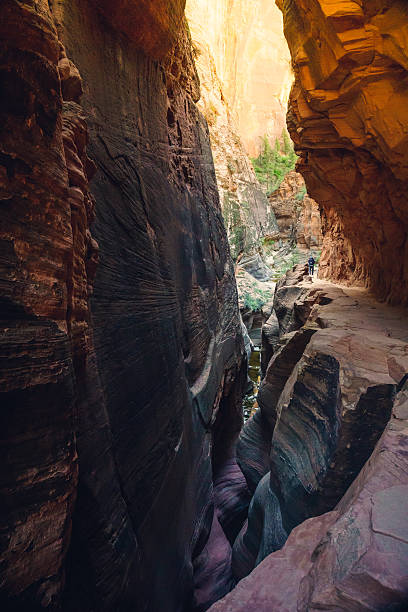 istock Zion Canyon Wall, Zion National Park, Utah 628582292