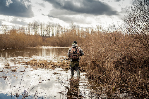 hombre cazador que se arrastra en el pantano durante el período de caza photo