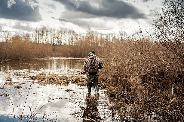 hombre cazador que se arrastra en el pantano durante el período de caza - rifle shotgun hunting camouflage fotografías e imágenes de stock