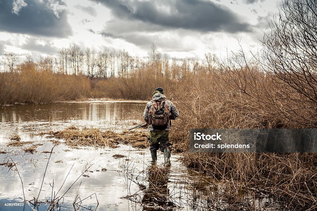 chasseur rampant dans les marécages pendant la période de chasse - Photo de Type de chasse libre de droits
