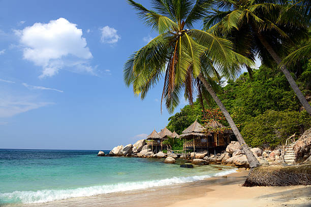 istock Bungalows hut on a tropical beach, Koh Tao, Thailand 628593066
