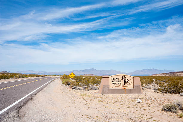 istock Mojave National Preserve California 628593262