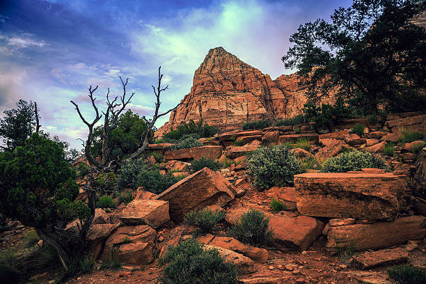 istock Rock Trail, Zion National Park, Utah 628595800