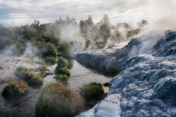 Whakarewarewa Thermal Park in Rotorua, New Zealand Steam through the landscape from the fumaroles, geysers and hot springs of Whakarewarewa Thermal Park in Rotorua, New Zealand. rotorua stock pictures, royalty-free photos & images