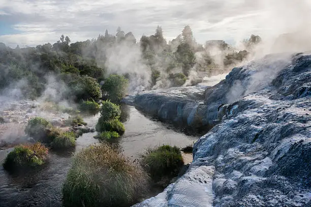 Steam through the landscape from the fumaroles, geysers and hot springs of Whakarewarewa Thermal Park in Rotorua, New Zealand.