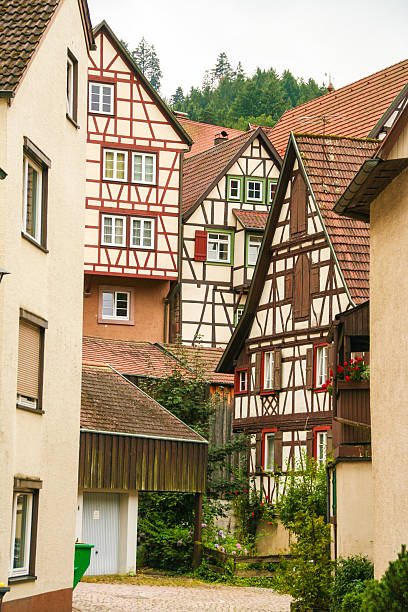 istock houses in schiltach black forest, Germany 628602096